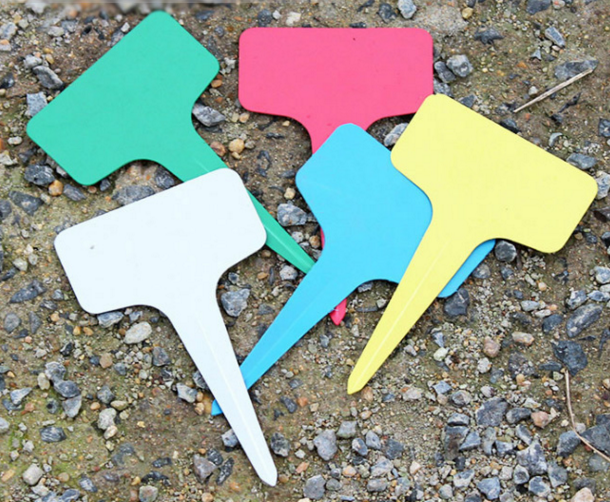 多肉植物標簽 花卉園藝盆栽插地標簽塑料T型標簽多色 塑料防水在類目 鮮花速遞/花卉仿真/綠植園藝, 園藝用品, 其它園藝用品中 - 來自Buy2taobao.com提供專業的淘寶代購服務