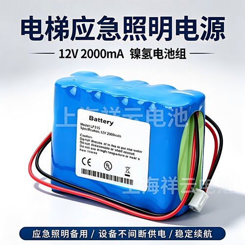 奥的斯电梯应急电源Ni-MH12V