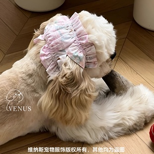 宠物耳花美卡耳套可卡布耳花耳套史宾格头花狗吃饭喝水外出防脏