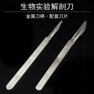 生物解剖刀解剖工具器具实验室器材教学仪器3号4号刀柄11号23号刀片标本制作工具4件套7件套昆虫针