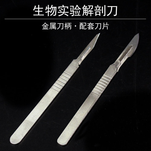 生物解剖刀工具实验室器材