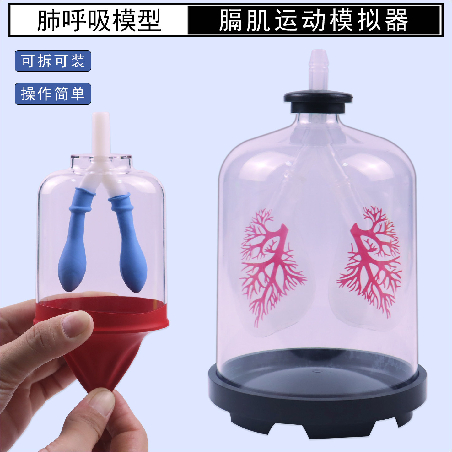 施艾旗舰店初中小学生物薄利多销