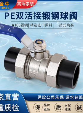 天一金牛pe双活接球阀A105锻钢耐腐蚀不生锈PE管配件4分6分PE阀门