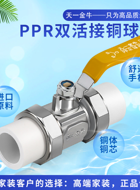 天一 金牛 家装PPR双头活接铜球阀20 25 32 4分 6分 ppr水管配件