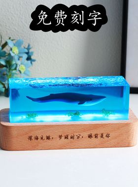 海洋鲸鱼小夜灯氛围灯微景观摆件
