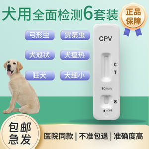 犬瘟细小冠状检查试纸