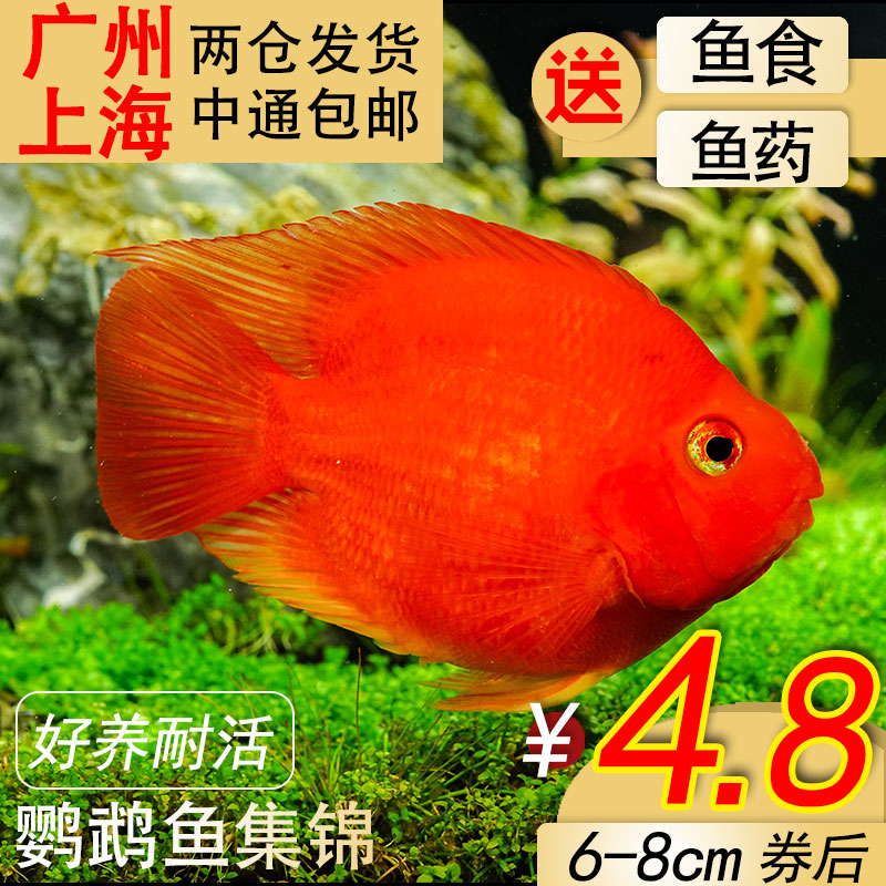 网友分享在meiguo.com的图片