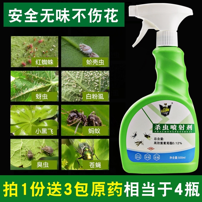 家用盆栽室内杀虫剂花卉植物 价格 怎么样 图片 家用盆栽室内杀虫剂花卉植物 价格 怎么样 图片