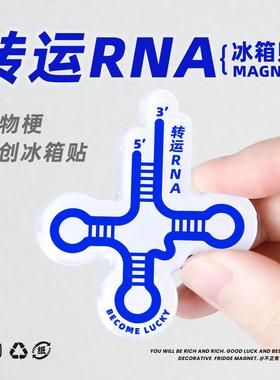 原创 转运RNA冰箱贴trna生物周边毕业礼物理科生实验室装饰