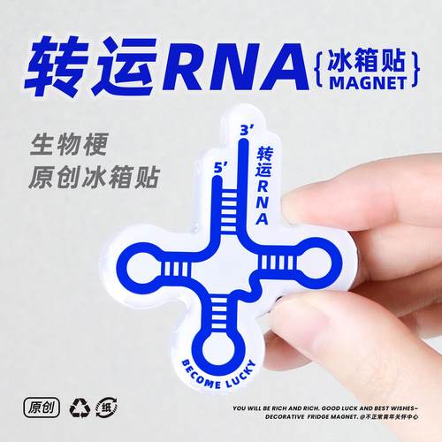 双关生物梗原创转运RNA冰箱贴