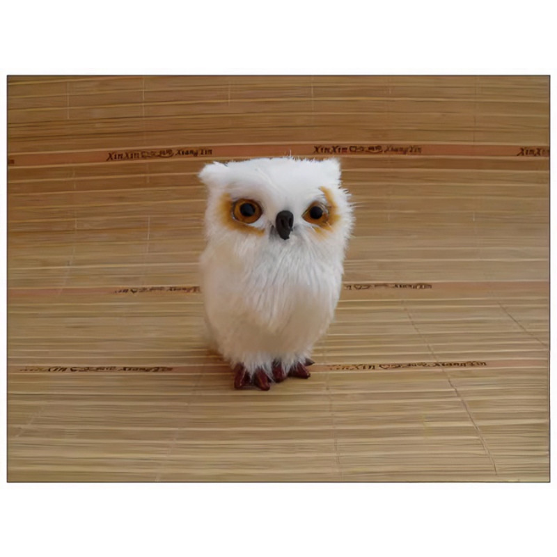 仿真皮毛猫头鹰教学模型