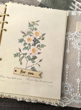10+款不同风格色系 活页A5手工纸丨蕾丝花边装饰内页复古风粉蓝色