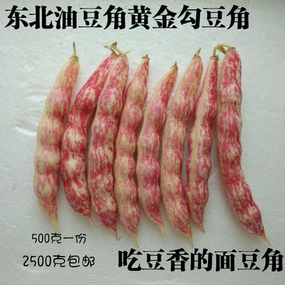 黄金勾油豆角 新鲜蔬菜 吃豆香的面豆角 东北特产油豆角开锅烂