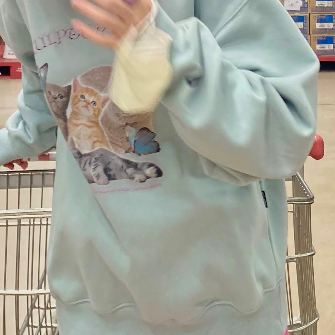 【亏本清仓】秒杀5折 | 蝴蝶猫咪圆领卫衣3色