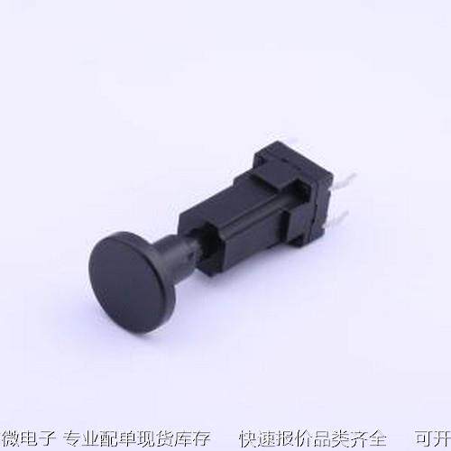 TSW101G337-250M 轻触开关 10*10*33.7mm 直插 轻触开关 插件原装