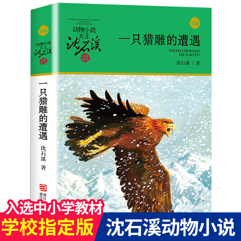 正版包邮 一只猎雕的遭遇 动物小说大王沈石溪品藏书系中小学生课外阅读书不带拼音儿童文学畅销书籍 浙江少年儿童出版社共309页DB