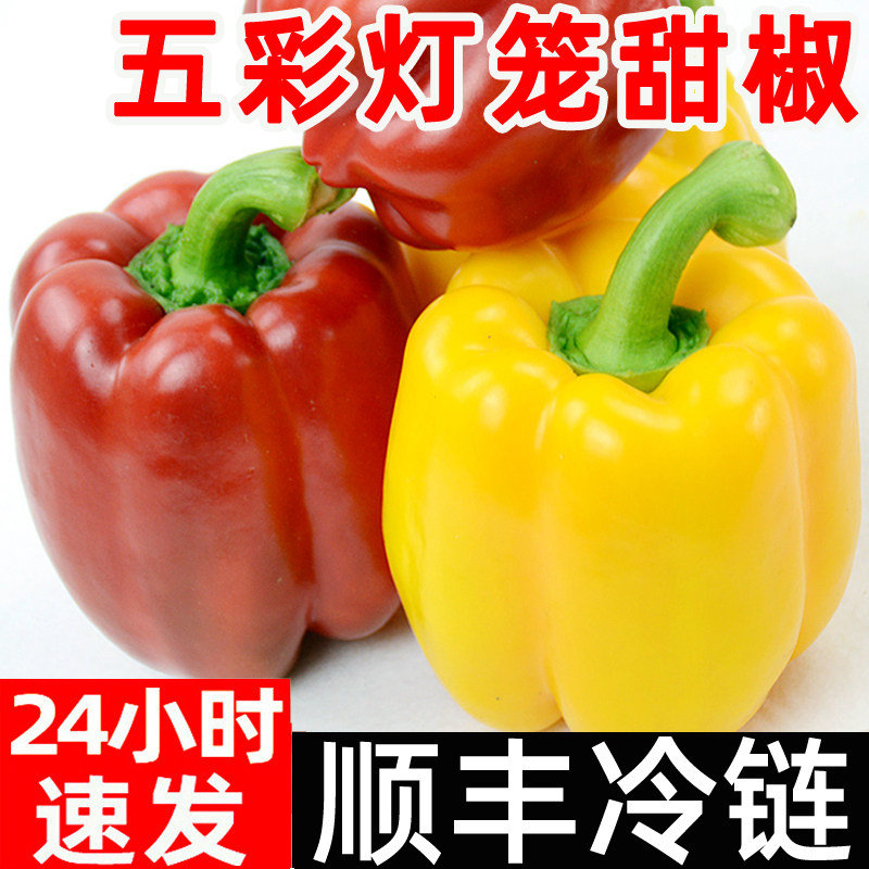 彩椒新鲜水果甜椒生吃七彩辣椒七彩椒五彩灯笼红小米椒圆椒蔬菜青