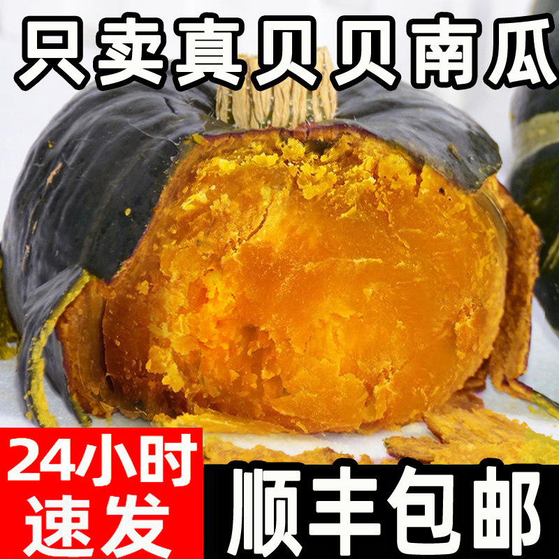 贝贝南瓜正宗板栗味老南瓜新鲜正品栗子面小南瓜婴儿甜粉糯惠和