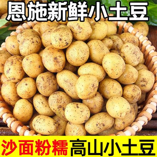 恩施小土豆新鲜现挖黄心粉糯香甜