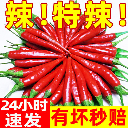 特辣小米辣椒新鲜现摘朝天椒特辣