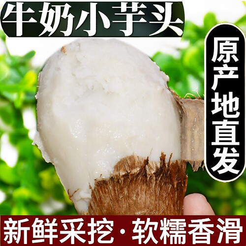 新鲜山东牛奶毛芋头顺丰粉糯香甜