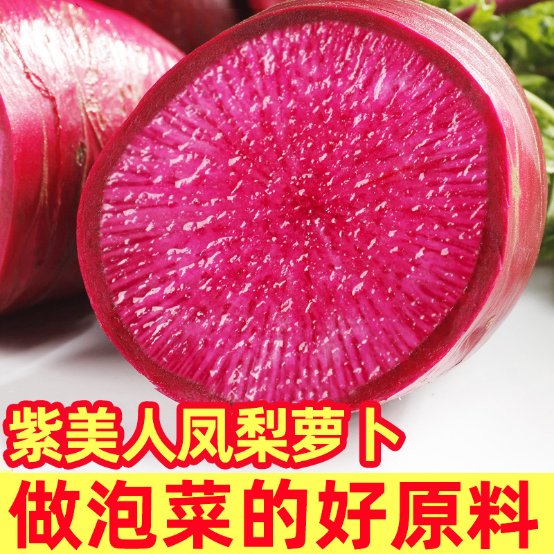包邮紫美人凤梨水果萝卜现拔