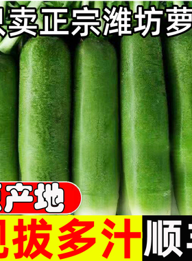 潍坊水果萝卜新鲜甜脆型顺丰生吃正宗潍县青凤梨冰淇淋红胡萝卜