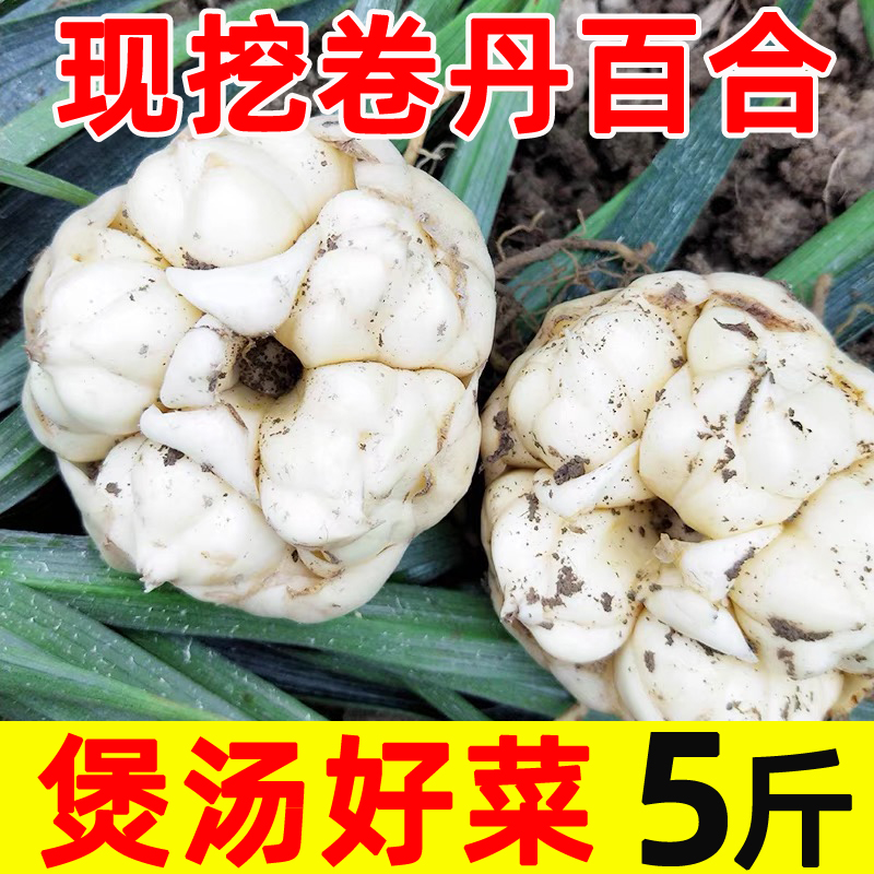 百合新鲜现挖食用5斤蔬菜