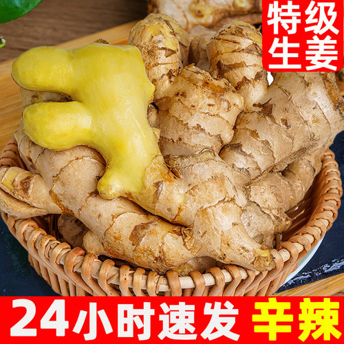 云南小黄姜老姜新鲜生姜高山沙姜黄姜5斤现挖非嫩姜大仔泡醋鲜姜 - 封面