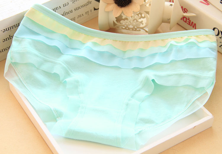 Slip jeune 100% en coton - Ref 653747 Image 5