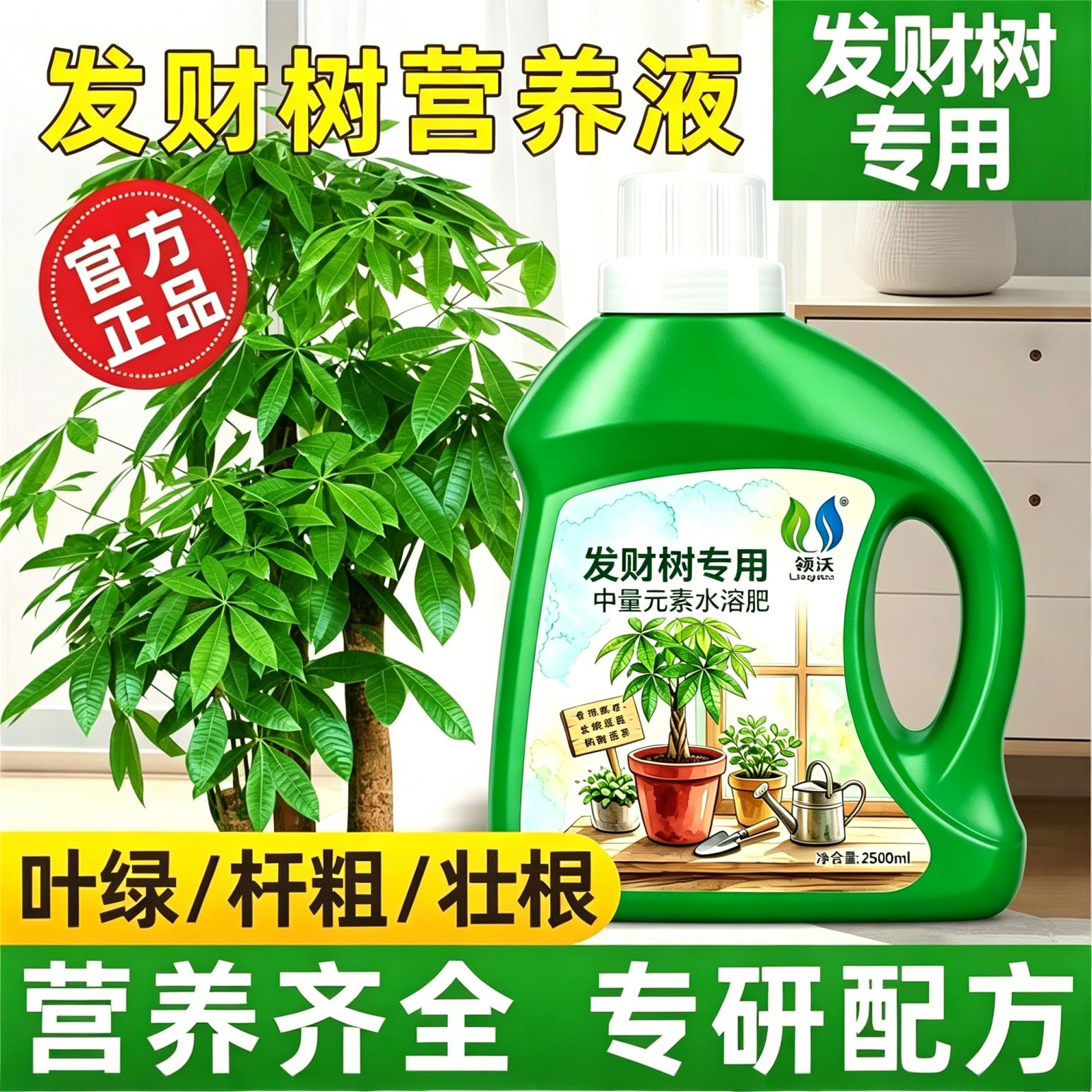 发财树专用营养液改善黄叶家用绿无机肥