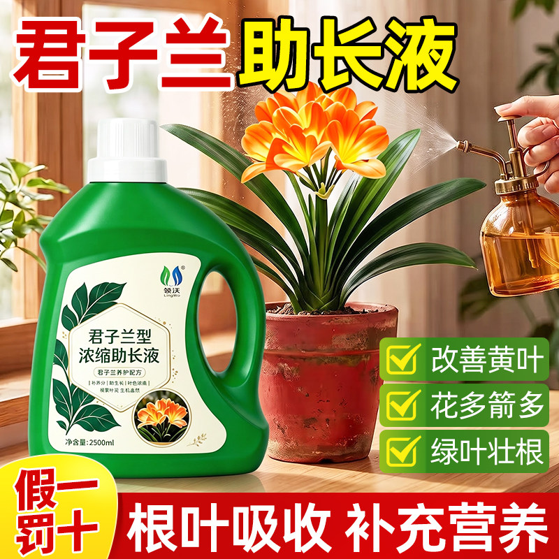 【园艺推荐】浓缩营养液君子兰专用通用花卉液体花肥兰花正品肥料