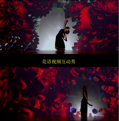 花语全息互动视频秀鲜花绽放鲜花畅想百花追梦繁花似锦互动秀