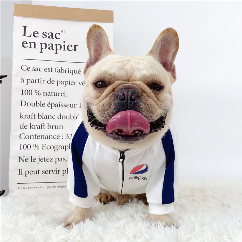 巴哥网红潮牌柴犬柯基狗狗衣服