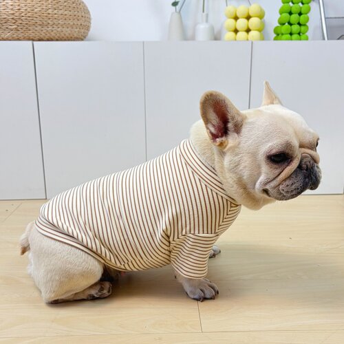巴哥法斗衣服秋冬季加绒弹力条纹打底衫T恤卫衣斗牛犬胖狗狗衣服