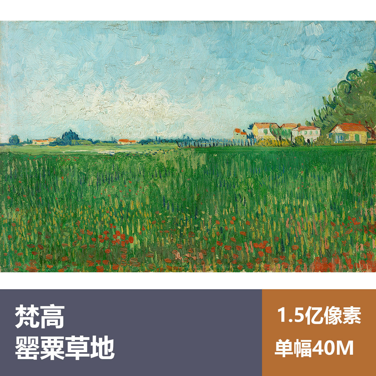 罂粟草地梵高高清油画原版作品装饰画喷绘图片素材