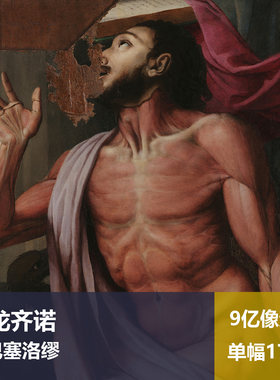 圣巴塞洛缪布龙齐诺高清油画原版作品图片素材