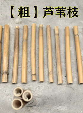 粗干芦苇枝diy芦苇杆吊顶材料酒店墙面装饰民宿去皮编织手工制作