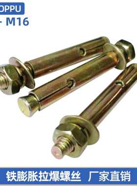 铁彩锌膨胀螺丝外膨胀螺丝钉螺栓M6M8M10M12M14*50x60x80-150