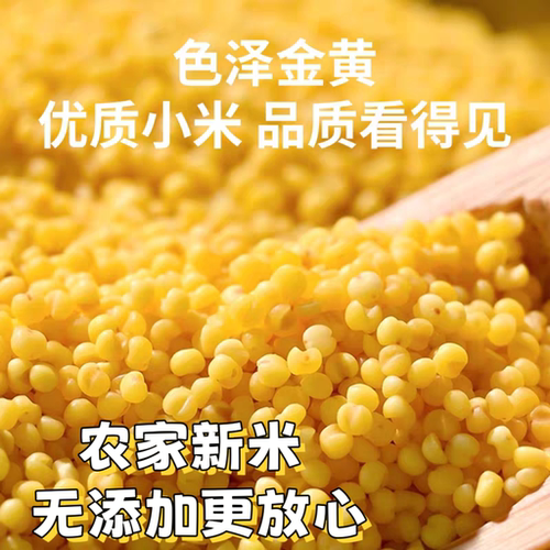 以田为膳黄小米软糯粘黏煮粥专用