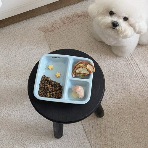 韩国bridgedog三格猫狗餐盘
