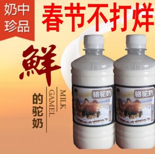 真纯骆驼奶鲜奶正宗无蔗糖高钙鲜奶新鲜驼奶牧场直供顺丰空运