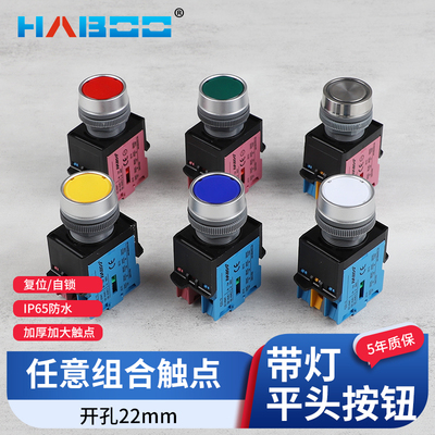 华博22MM带灯LED 24v复位220v自锁点动启动10A600V电源按钮开关