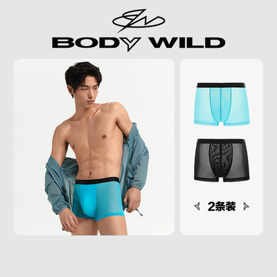 【冰丝感2条装】BODYWILD宝迪男内裤透明网纱透明内裤男ZBN23EG4