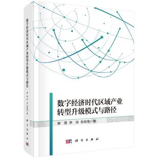 数字经济时代区域产业转型升级模式与路径9787030836397谢恩李垣张延锋