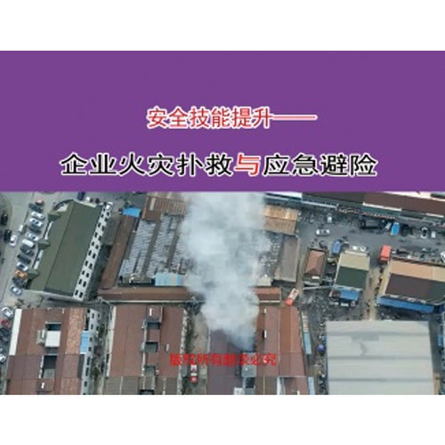 2024安全月安全技能提升-企业火灾扑救与应急避险(U盘)