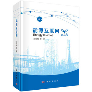 【正版现货】能源互联网 孙宏斌 等  科学出版社