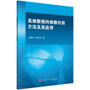 高维数据的维数约简方法及其应用    王建中  张宝学  科学出版社
