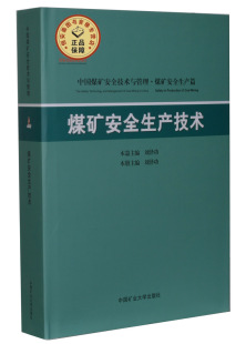中国矿业大学出版 煤矿安全生产技术 煤矿安全生产篇 中国煤矿安全技术与管理丛书 社 刘泽功