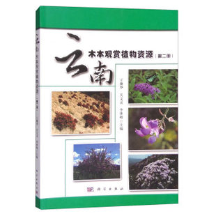 云南木本观赏植物资源（第二册） 王继华,关文灵,李世峰 科学出版社